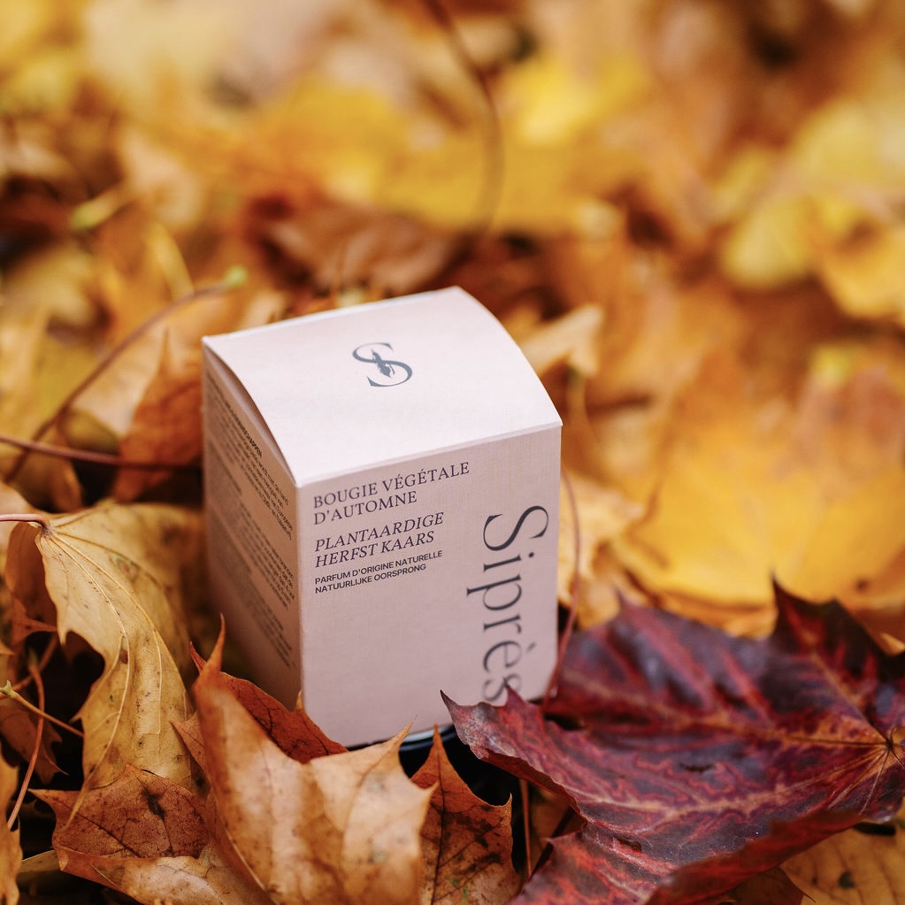 Bougie Végétale d'Automne (Ambre)