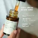 VF 1.webp