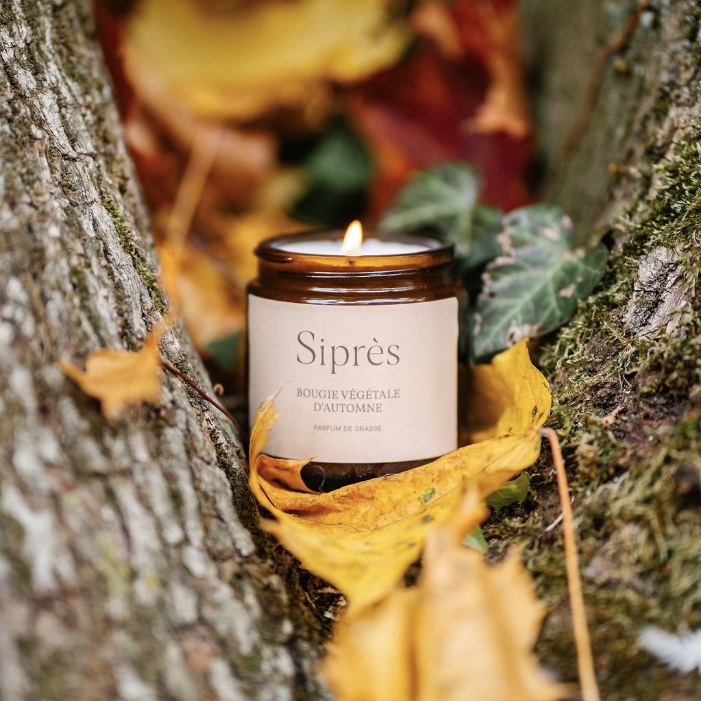 BOUGIE PARFUMÉE VÉGÉTALE | Gingembre · Vanille · Épices douces